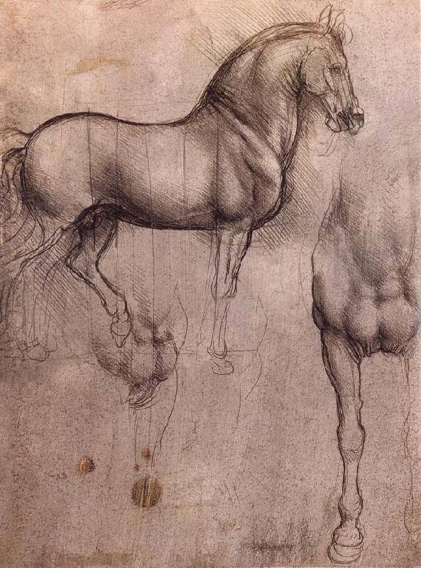 LEONARDO da Vinci Studies of horses Spain oil painting art